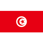 Tunisia flag greyscale
